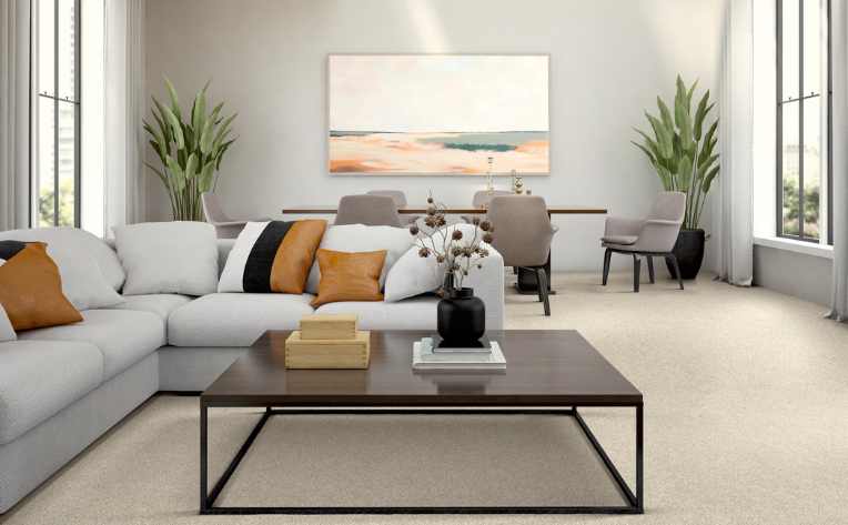 beige neutral colored carpet in modern living room with earth tones